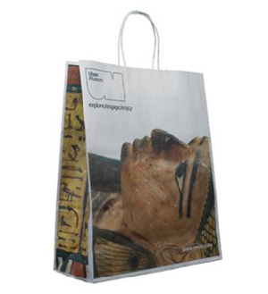 Tape Handle Paper Carrier Bags Printed Carrier Bags