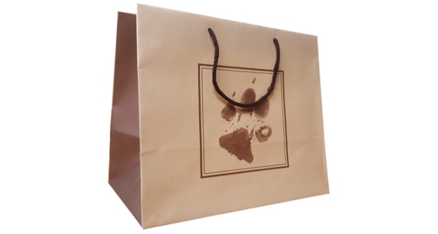 Un-Laminated Rope Handle Paper Bags Printed Carrier Bags
