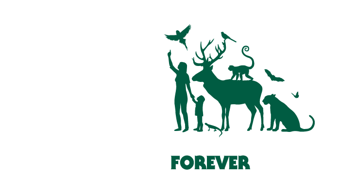 Home Printed Carrier Bags